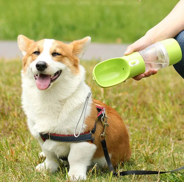 Pets Water Bottle Portable