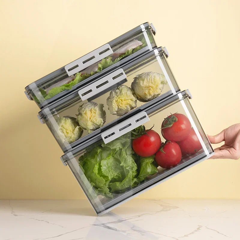 Kitchen Storage Food organizer Container